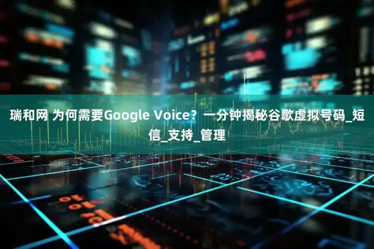 瑞和网 为何需要Google Voice？一分钟揭秘谷歌虚拟号码_短信_支持_管理