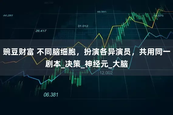 豌豆财富 不同脑细胞，扮演各异演员，共用同一剧本_决策_神经元_大脑