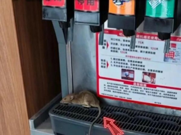 搭搭网 西安警方通报“魏家凉皮一门店可乐机上趴着老鼠”：男子故意放置，已被刑拘
