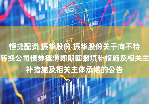 恒捷配资 振华股份 振华股份关于向不特定对象发行可转换公司债券摊薄即期回报填补措施及相关主体承诺的公告